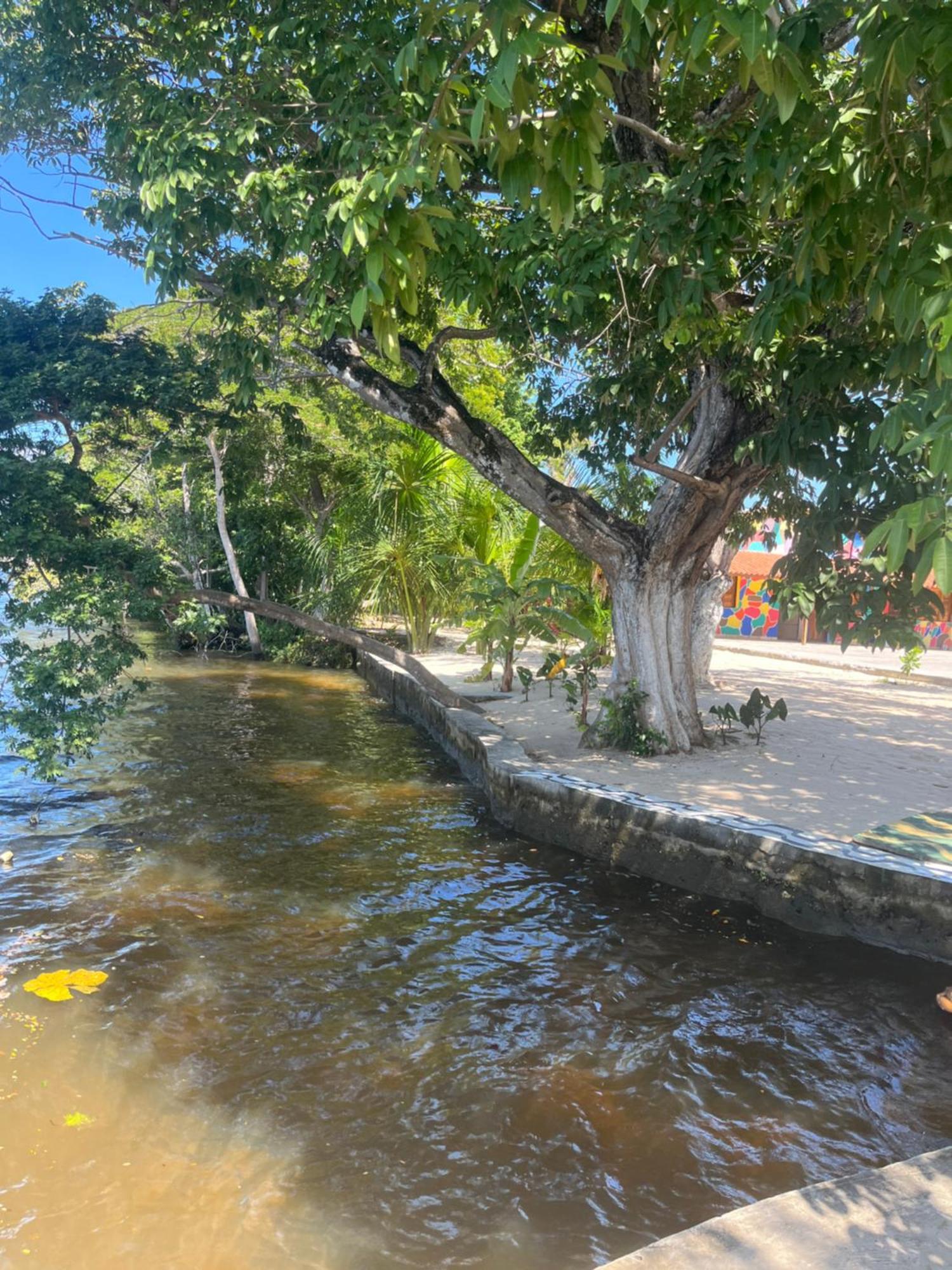Pousada Paraiso Cultural Barreirinhas Εξωτερικό φωτογραφία